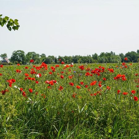 Gastenverblijf Eenigenburg Buitenkant foto