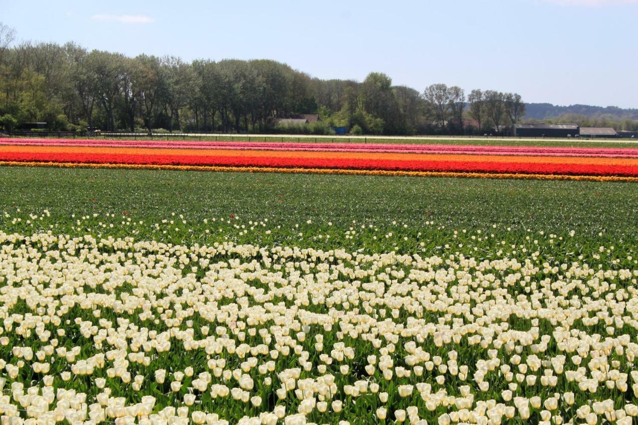 Gastenverblijf Eenigenburg Buitenkant foto